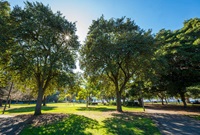 Large open park with pathways and trees with water glimpses in the distance