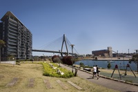 A view of a bridge along the harbour foreshore in Watefront Park.