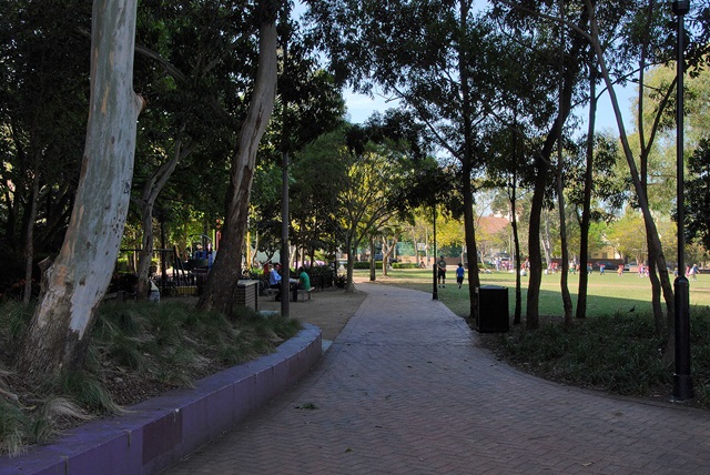 A paved pathway through a park with trees on both sides, people sitting on benches to the left, and a grassy area to the right.