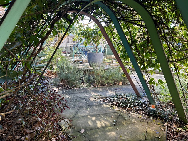 View through a green pergola with climbing plants, leading to a garden area featuring a large planter and various foliage.