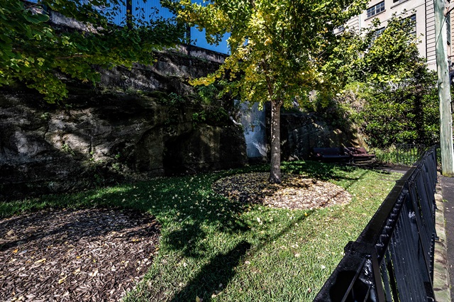 A tree with autumn leaves stands in a small grassy area, bordered by a rock wall and a fence. A bench is visible in the background.