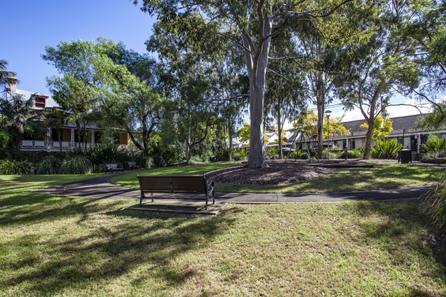 A park bench in a shaded area of Ernest Pedersen Reserve Playground.