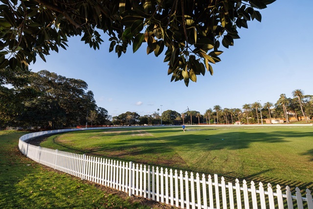A curved white picket fence encircles a sporting oval on a clear day. The oval is shaded by large trees. A row of palm trees and the top peak of the Anzac Bridge are in the background.