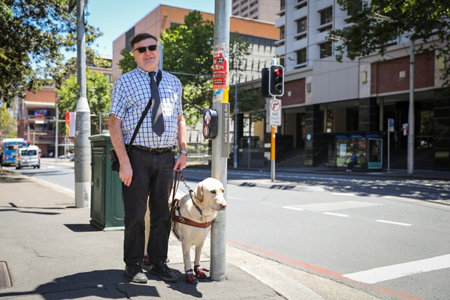 A man standing at a set of lights holding the leash of a guide dog.