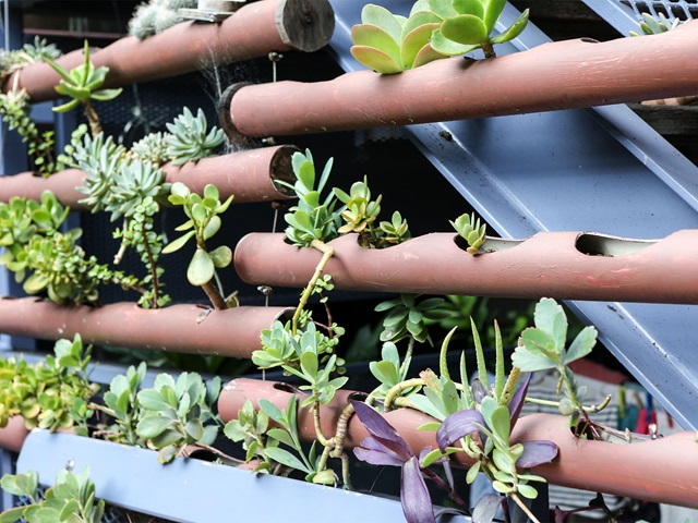 details of cascading plants horizontally hanging from an open interior staircase of building complex.