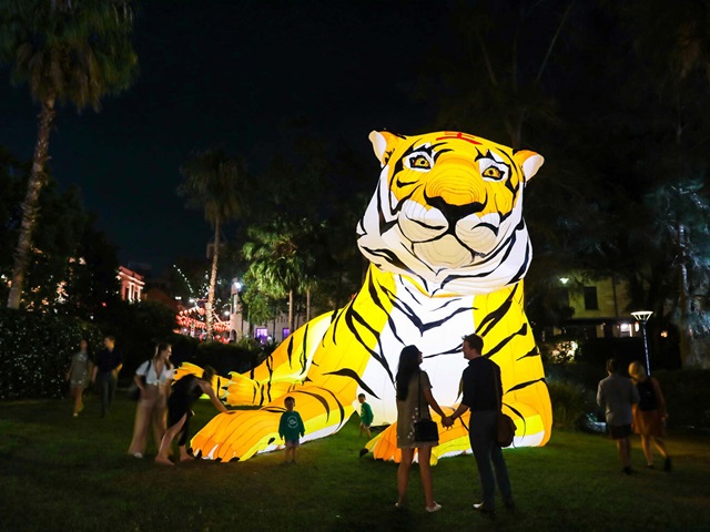 Large tiger shaped Lunar lantern at night