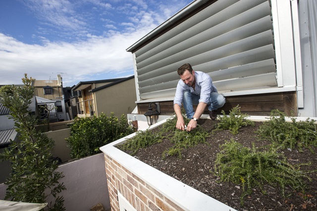 Man attending to a garden bed on top of his house.