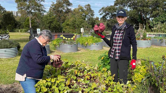 2 women at work in a community garden