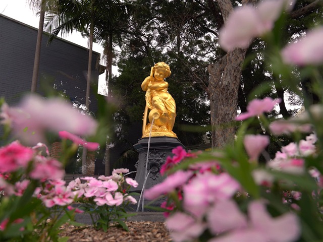 Golden cherub statue on top of cast iron drinking fountain. Pink garden flowers with selective focus on the foreground. Trees in the background. 