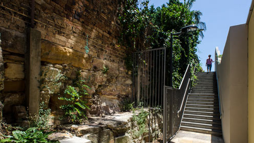 A narrow staircase that goes up in a laneway. On the right is a wall, on the left are rocks and plants.