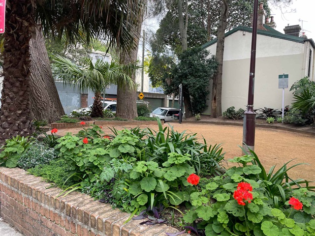 Garden with plants, flowers, trees and shrubs around Chisholm Street Reserve. House and parked cars around the reserve in the background during daylight hours.