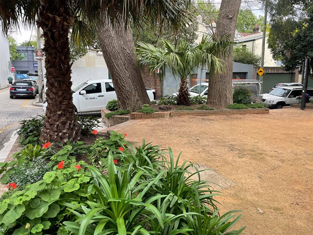 Gardens with plants, flowers, trees, and shrub along one of the corners of Chisholm Street Reserve during daylight hours. Cars parked on the street in the background.