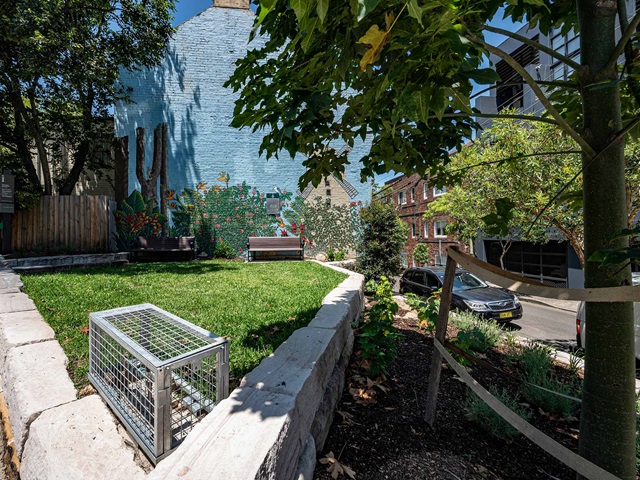 Grass area, new street tree and turf. Park bench against graffiti wall on a sunny day.
