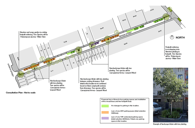 Plan showing Briggs Street proposal. At the corner of Briggs Street and Church Street, the plan shows a new tree and verge garden in existing footpath widening. The tree Species will be Tristaniopsis laurina - Water Gum. Outside 1 Briggs Street and 14 Briggs Street, the plan shows a new landscaped blister with tree planting. Tree species will be Caesalpinia ferrea - Leopard Wood Outside 18-28 Briggs Street, the plan shows a new landscape blister with tree planting between existing driveways. Final detail in this location to be confirmed based on future swept path analysis from driveways. Tree species will be Caesalpinia ferrea - Leopard Wood Outside 34 and 36-46 Briggs Street, the plan shows a new landscape blister with tree planting. Tree species will be Caesalpinia ferrea - Leopard Wood. Outside 23-33 Briggs Street, the plan shows footpath widening in no-stopping zone and new tree planting in footpath. Tree Species will be Tristaniopsis laurina - Water Gum. Outside 34 Briggs Street the plan shows the loss of one 1-hour undersized parking space (total reduction 3200mm). Opposite 1 Briggs Street, the plan shows the loss of one 2-hour parking space (total reduction 3200mm). Outside 12-16 Briggs Street, the plan shows the loss of one 2-hour parking space (total reduction 3200mm). Outside 36-46 Briggs Street, the plan shows the loss of one 2HR parking space (total reduction 3200mm).