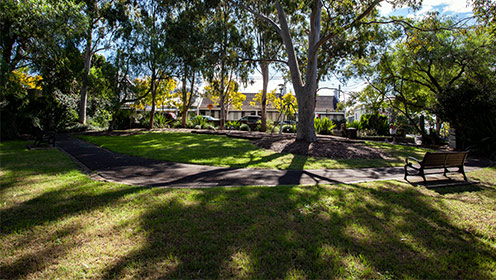A park with grass and large trees in the background.