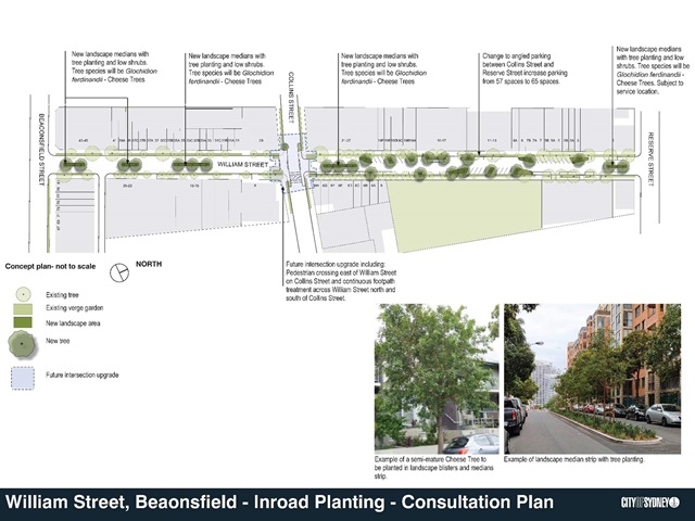 Plan shows new median strips with trees planted down the length of the street between Beaconsfield Street and Collins Street as well as new landscaped areas between Collins Street and Reserve Street. A future crossing is shown at the Collins Street intersection.