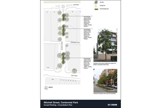 Consultation plan showing the proposed location of 8 street trees along median strips on Mitchell Street.