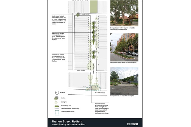 Consultation plan showing the proposed location of 7 street trees along a median strip on Thurlow Street, and one street tree on a blister on Thurlow Lane.