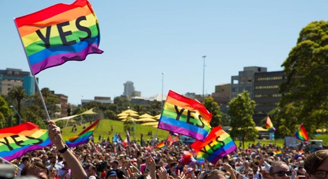 Rainbow flags flying with Yes printed on them in Prince Alfred Park during the marriage equality vote