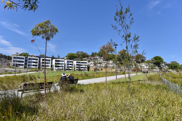A path running through a suburban park