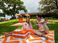 Couple drinking and eating on a white and orange picnic blanket on the grass in a sunny day.