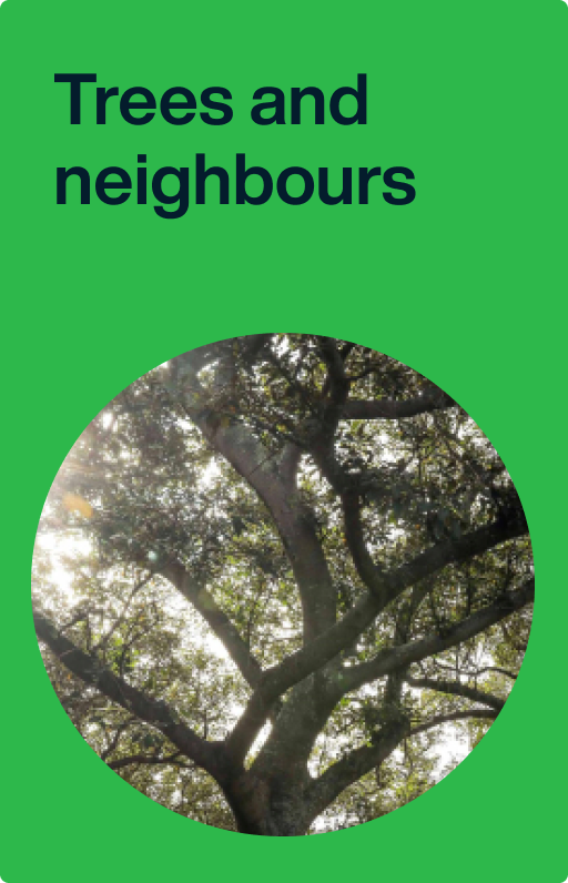 Trees and neighbours City of Sydney