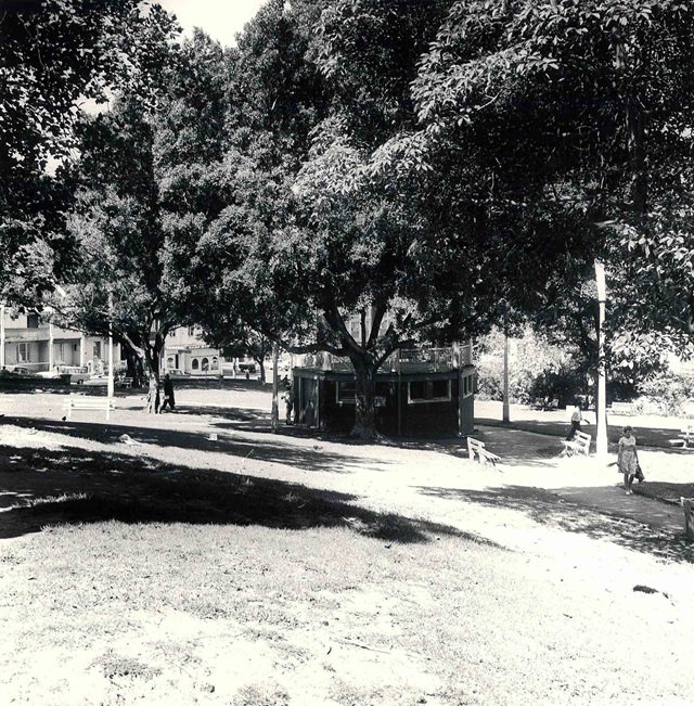 An historic photo of a park with trees and grass.