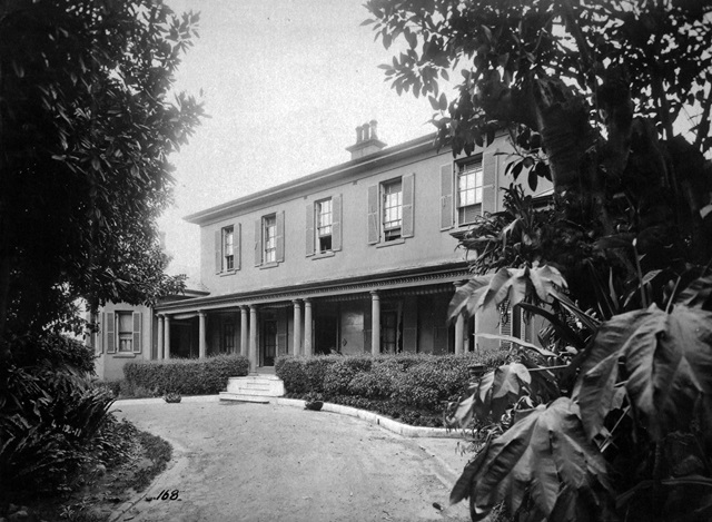 An historic photo of a driveway surrounded with trees and a large house in the background.
