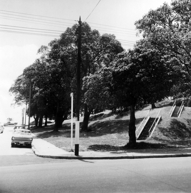 An historic photo of a street with trees.