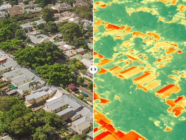 Aerial view of a suburban street with houses and trees. Half the image is a photograph, the other half a visualisation that illustrates the impact tree canopy has on heat.