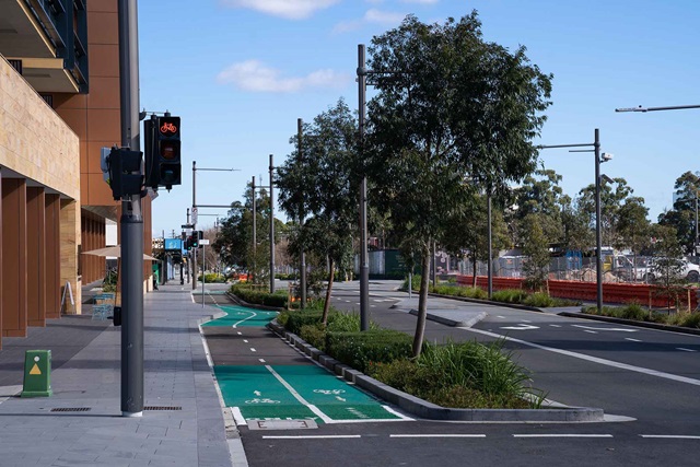 A city street and separated bicycle lane, with street trees between.