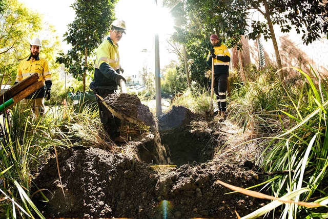 Three workers dig in a park.