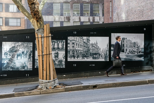 A street and tree, and behind is a wall with large photographs on it.