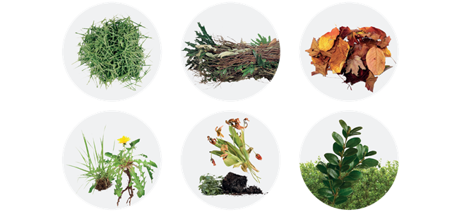 Recycle garden organics