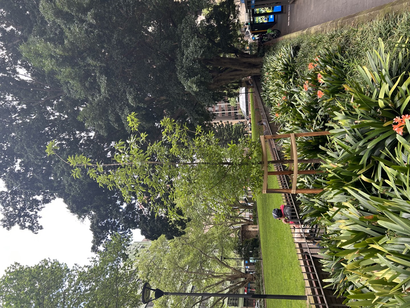 A person is sitting on a bench in a park with their back to a tree