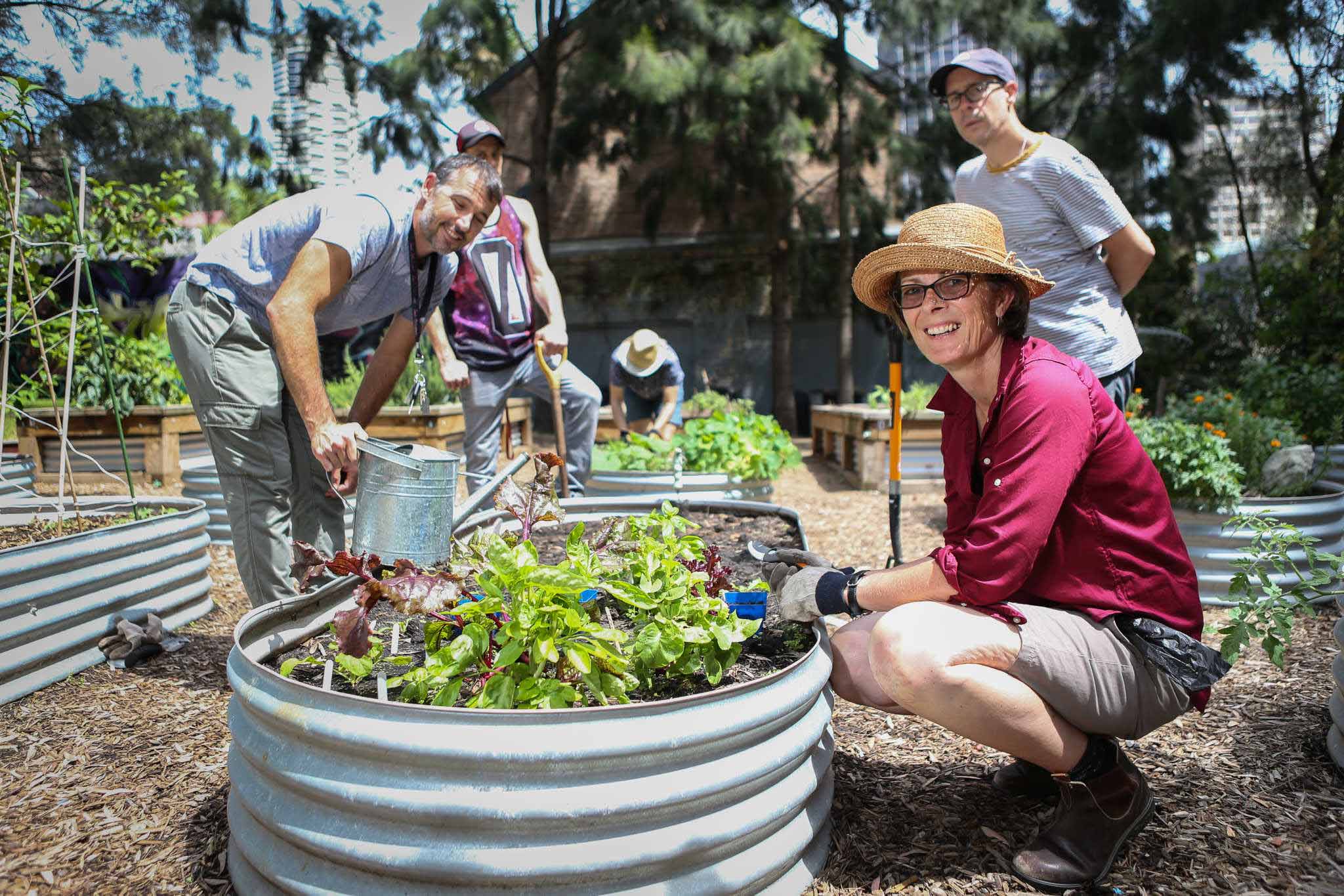 community-gardens-city-of-sydney