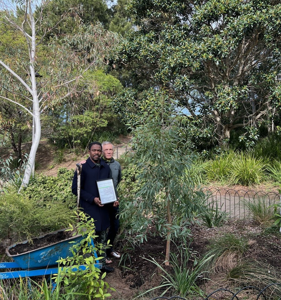 2 people standing next to a memorial tree, surrounded by other mature trees and plants
