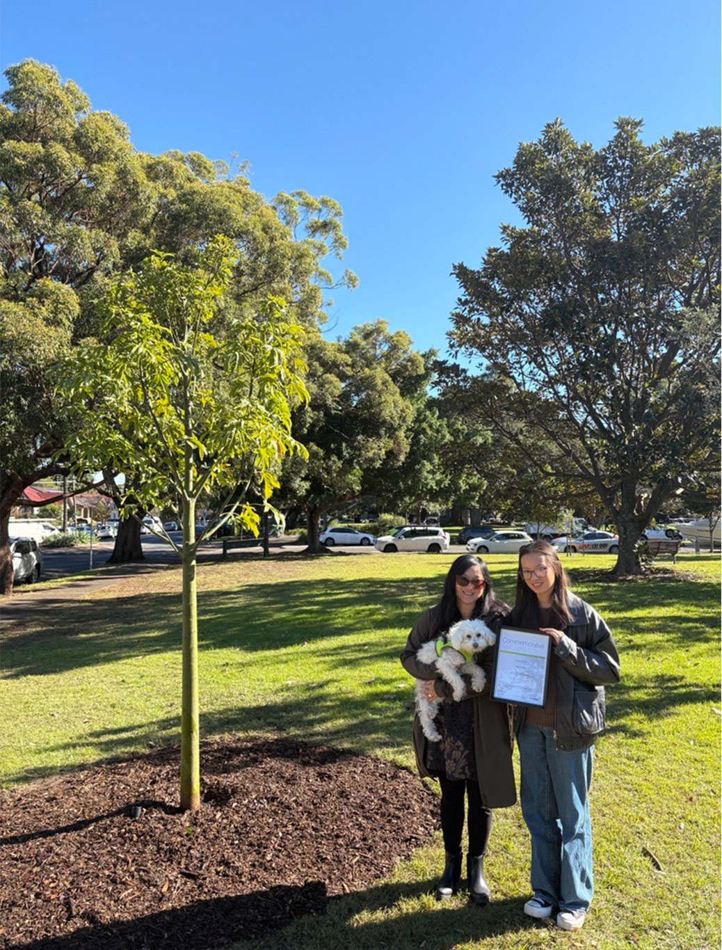 Two people stand on grass near a newly planted tree; one holds a small white dog, the other holds a framed certificate. Cars and trees are visible in the background.