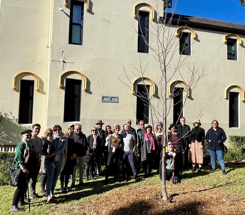 Mitchell Street Park Glebe Tree donation by Amanda Walton, Tom Hespe, Madeleine Walton Hespe  and Johanna Walton Hespe