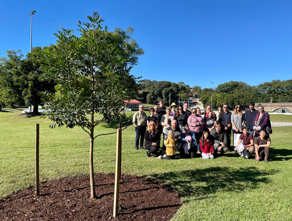 A group of people standing next to a small tree which is surrounded by a ring of  mulch and green grass.