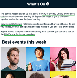 Whats On newsletter example